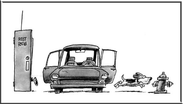 Chacun a ses toilettes-humourenvrac